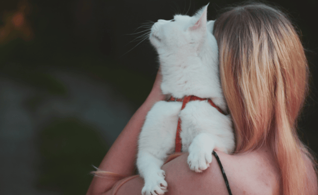 Weekly or Holiday Care