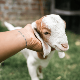 Loving, compassionate care